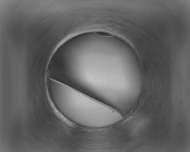 X0000054421526200507290913
