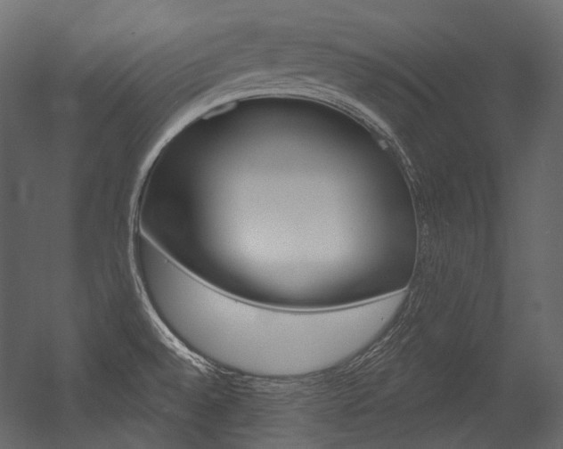 X0000054421528200507290913