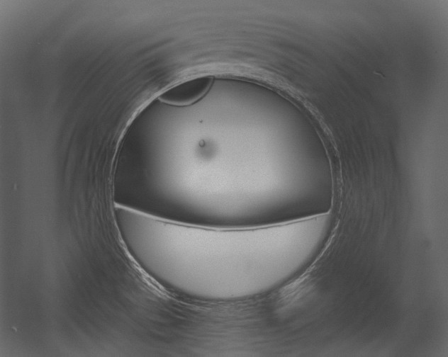 X0000054421529200507290913
