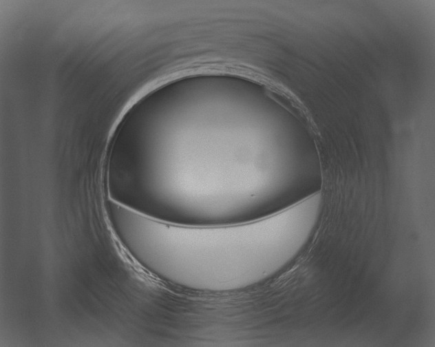 X0000054421530200507290913