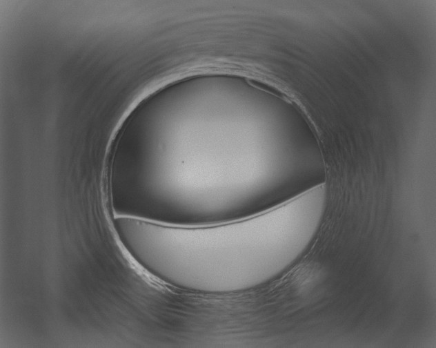 X0000054421531200507290913