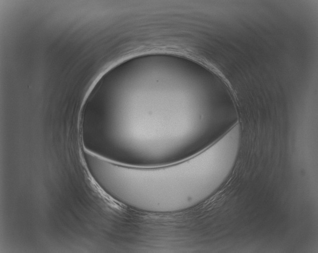 X0000054421532200507290913