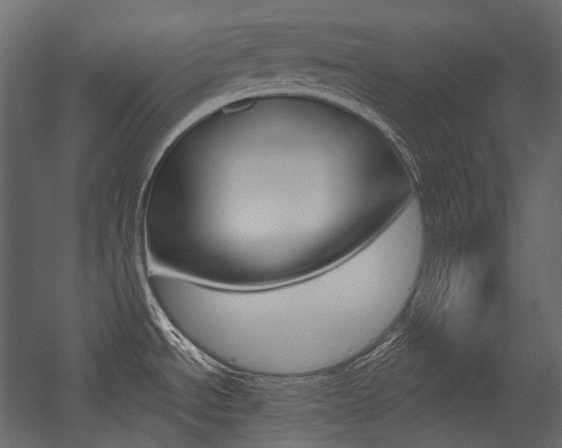 X0000054421534200507290913