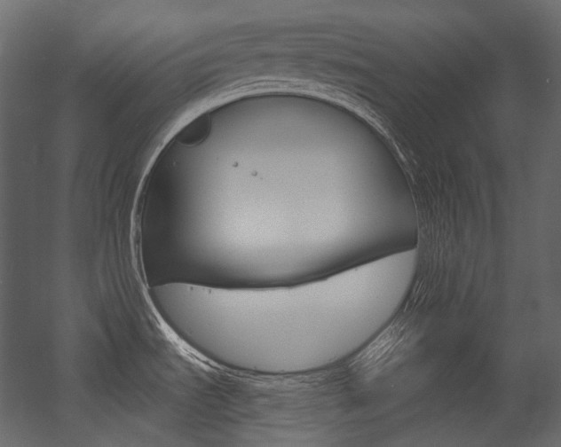 X0000054421535200507290913