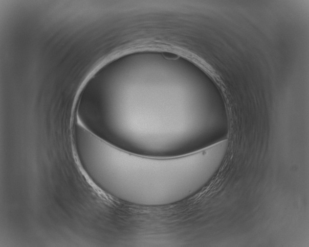 X0000054421536200507290913