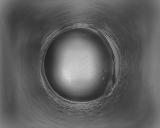 X0000054420001200507291301