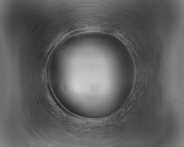 X0000054420002200507291301