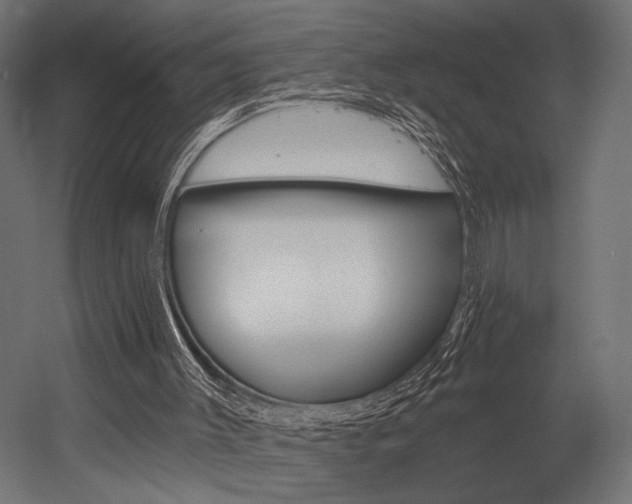 X0000054420003200507291301