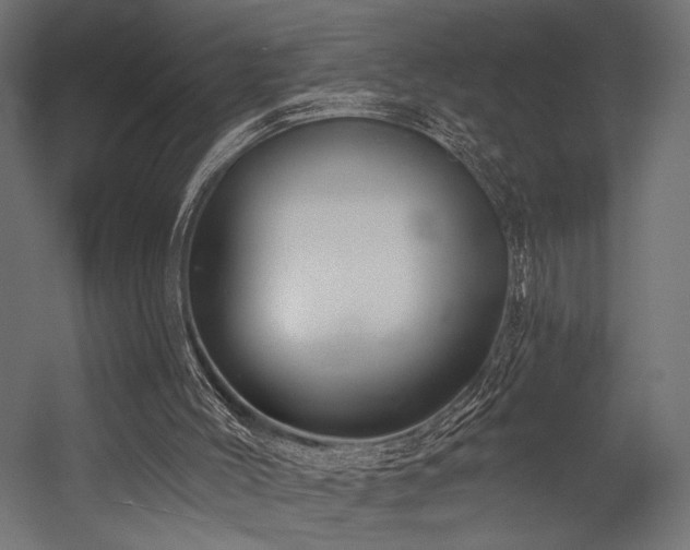 X0000054420004200507291301