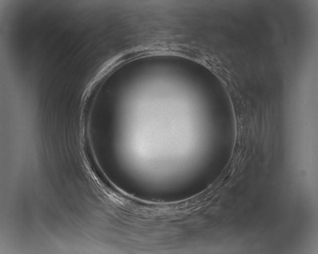 X0000054420005200507291301