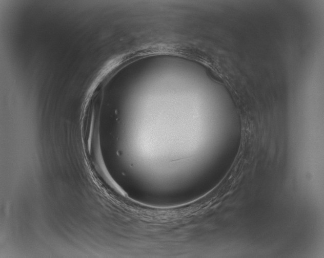 X0000054420006200507291301