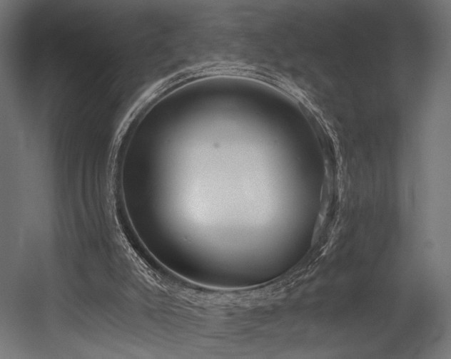 X0000054420007200507291301