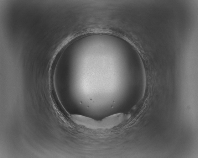 X0000054420008200507291301