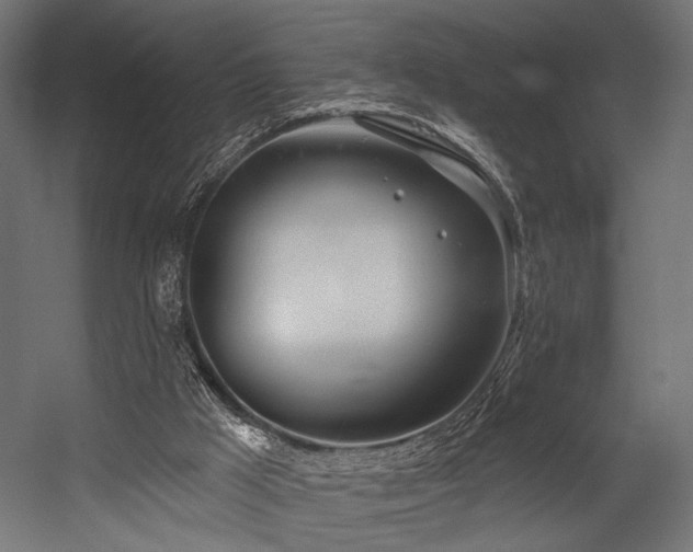 X0000054420009200507291301