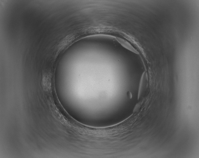 X0000054420010200507291301