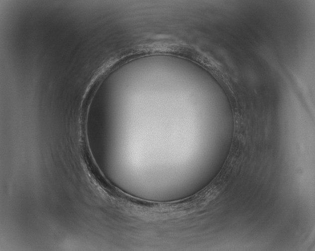 X0000054420012200507291301