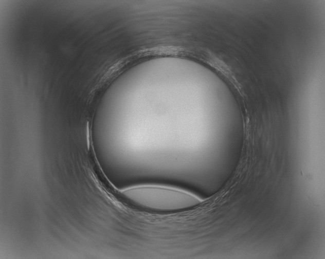 X0000054420013200507291301