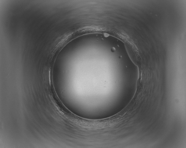 X0000054420014200507291301