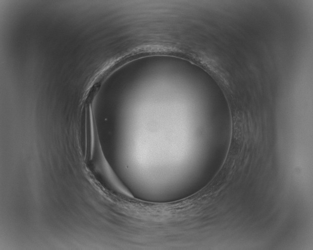 X0000054420015200507291301