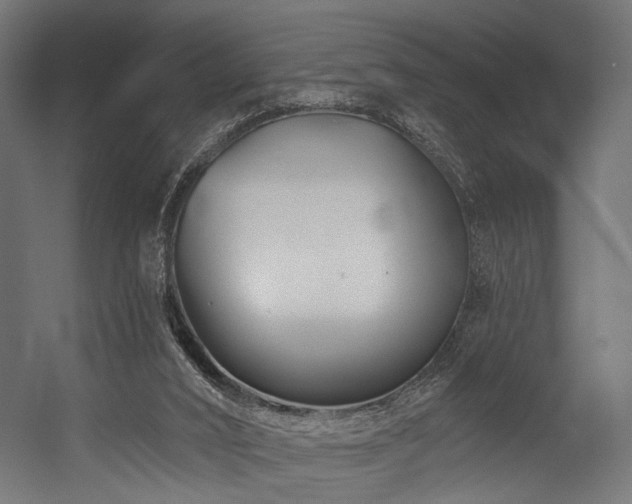 X0000054420016200507291301