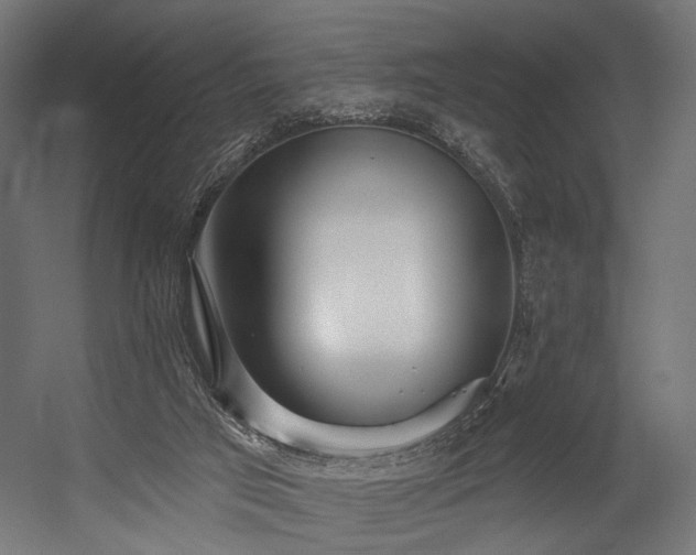 X0000054420017200507291301