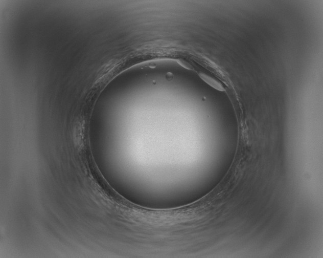 X0000054420018200507291301