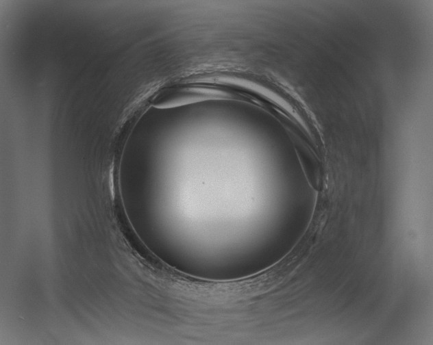 X0000054420019200507291301