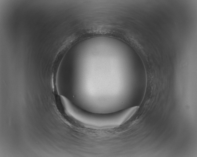 X0000054420020200507291301