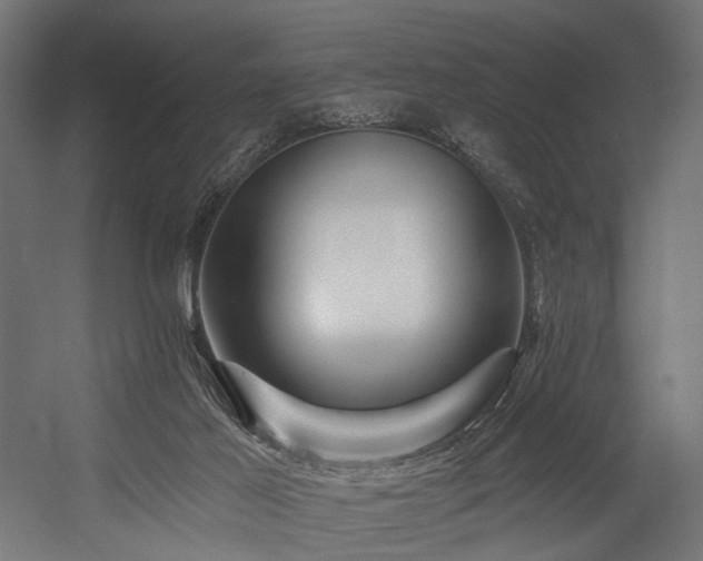 X0000054420021200507291301