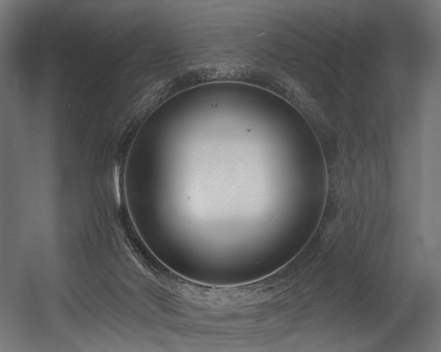 X0000054420022200507291301