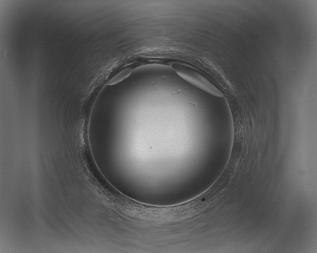 X0000054420023200507291301