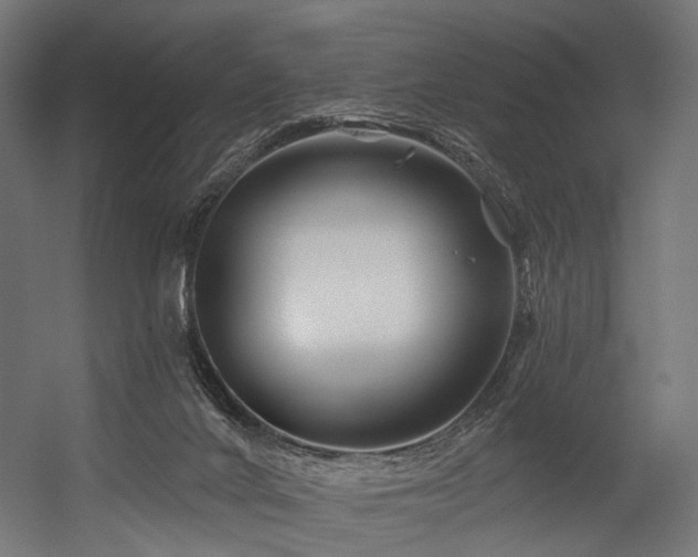 X0000054420024200507291301