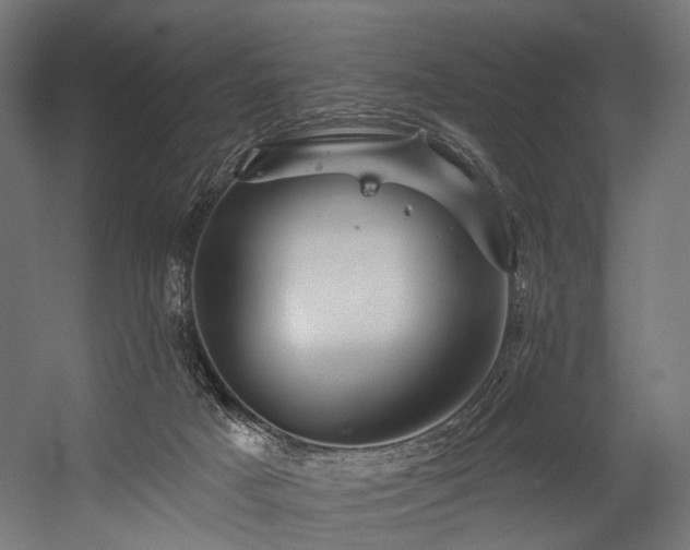 X0000054420025200507291301