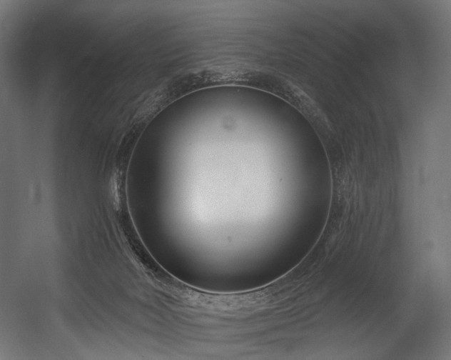 X0000054420026200507291301