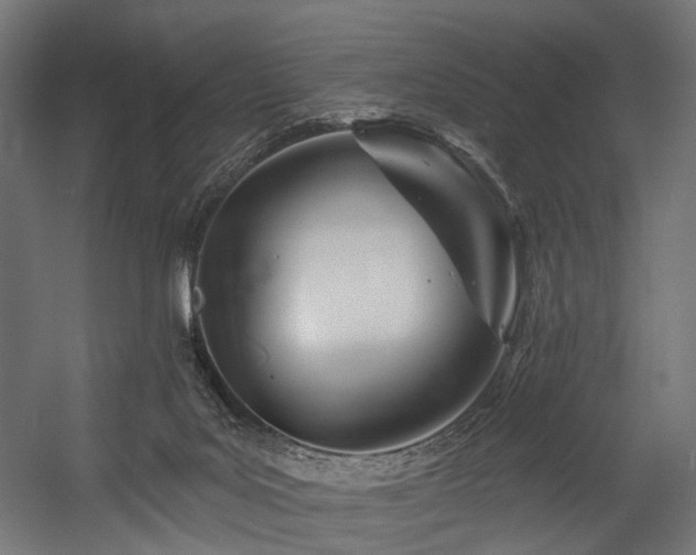 X0000054420027200507291301