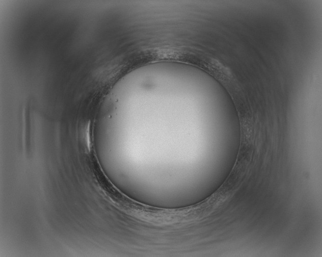 X0000054420028200507291301