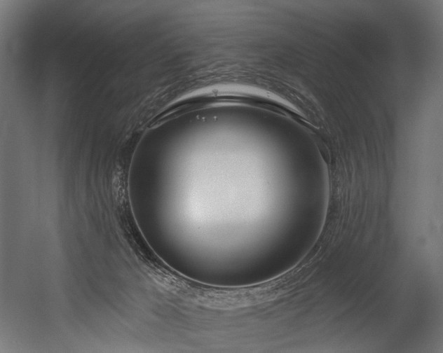 X0000054420029200507291301