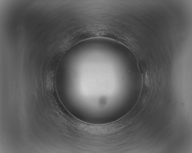 X0000054420030200507291301