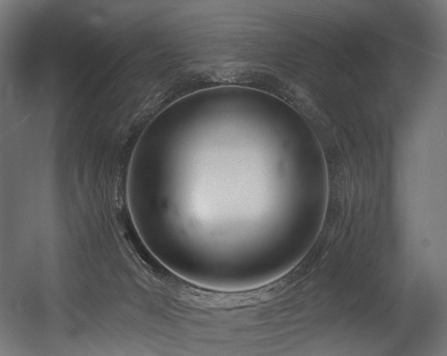 X0000054420031200507291301