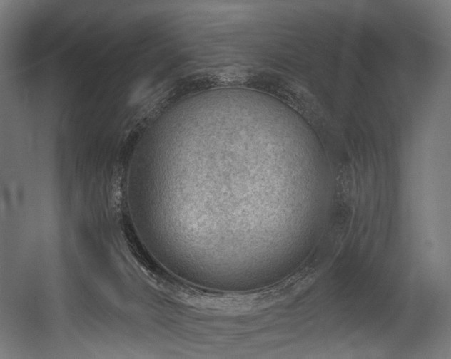 X0000054420032200507291301