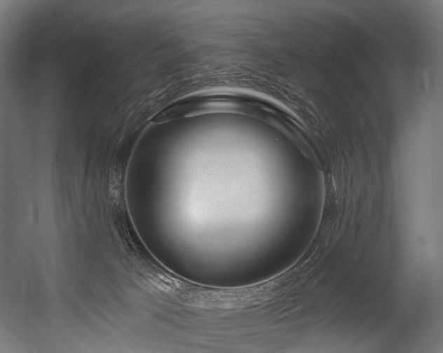 X0000054420033200507291301