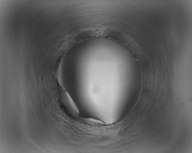 X0000054420035200507291300