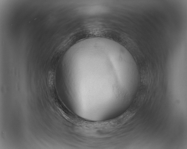 X0000054420036200507291300