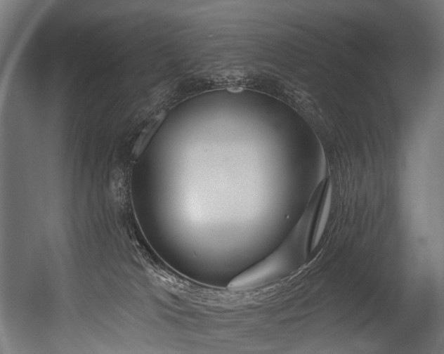 X0000054420037200507291300