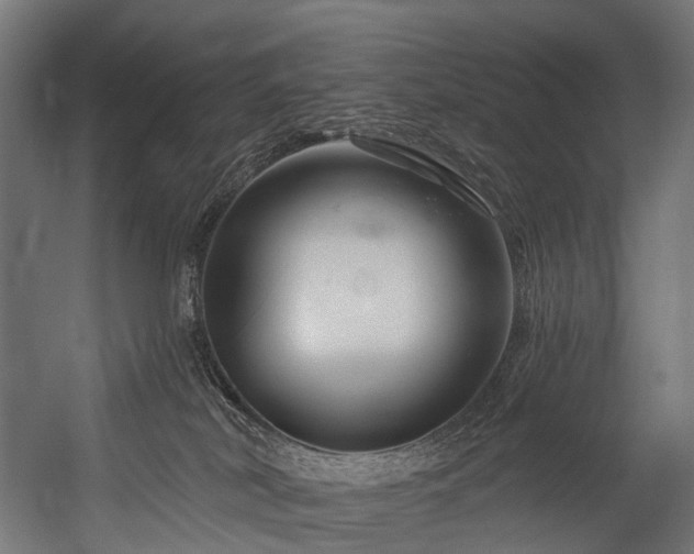 X0000054420038200507291300