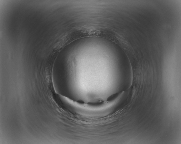 X0000054420039200507291300