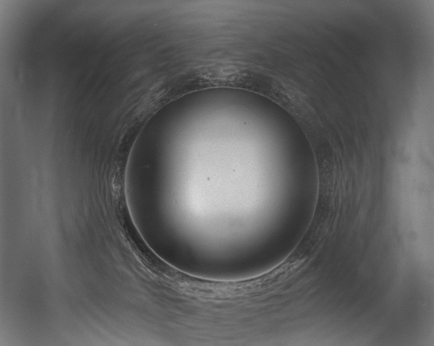 X0000054420040200507291300