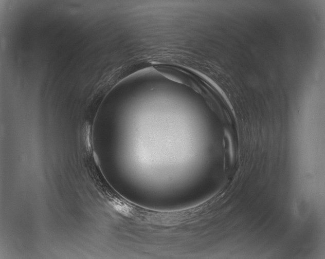 X0000054420041200507291300