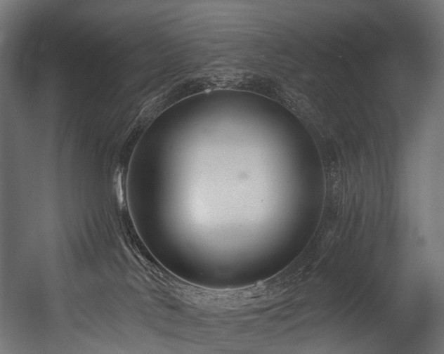 X0000054420042200507291300