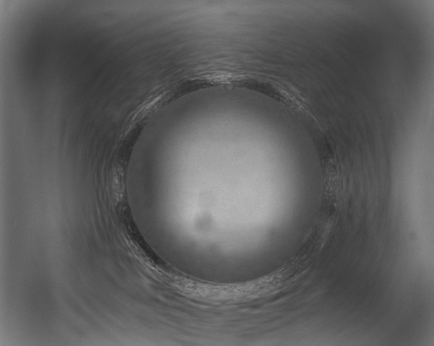 X0000054420043200507291300